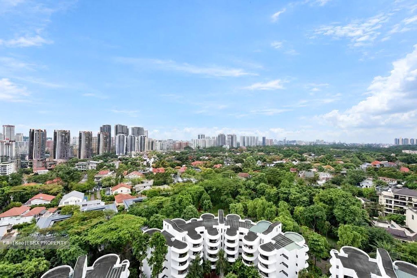 Regency Park (D10), Condominium #618289171